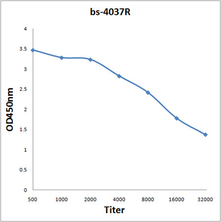 SLC25A11 Antibody in ELISA (ELISA)
