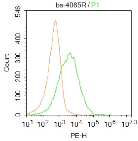 ATP receptor Antibody in Flow Cytometry (Flow)