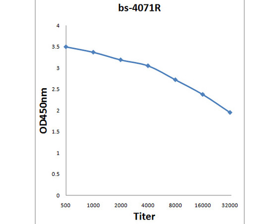Phospho-CBL2 (Tyr674) Antibody in ELISA (ELISA)
