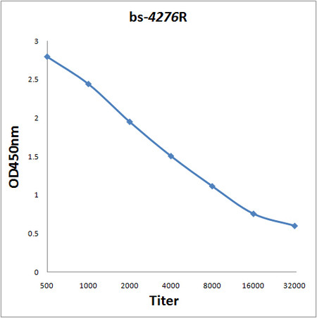 ELAC2 Antibody in ELISA (ELISA)