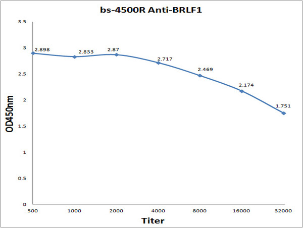 BRLF1 Antibody in ELISA (ELISA)