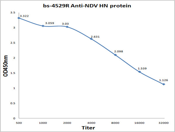NDV HN protein Antibody in ELISA (ELISA)