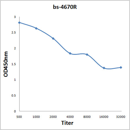 PILR beta Antibody in ELISA (ELISA)