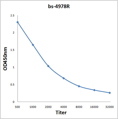 PMCA1 Antibody in ELISA (ELISA)