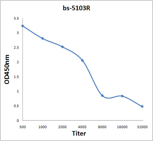 PTPMT1 Antibody in ELISA (ELISA)