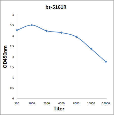 CAPZA1 Antibody in ELISA (ELISA)