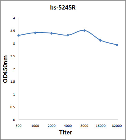 Phospho-Cdc25B (Ser353) Antibody in ELISA (ELISA)
