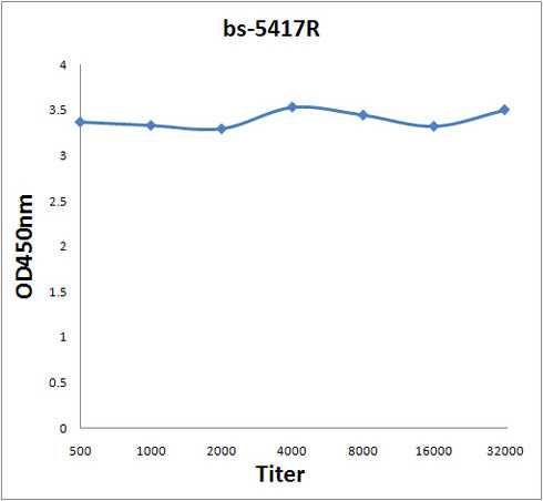 Phospho-Tau protein (Ser199) Antibody in ELISA (ELISA)
