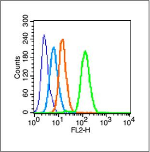 Phospho-c-Jun (Thr249) Antibody in Flow Cytometry (Flow)