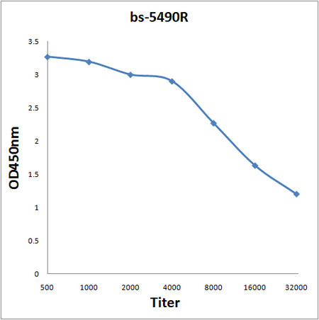 Phospho-Ron (Tyr1238) Antibody in ELISA (ELISA)