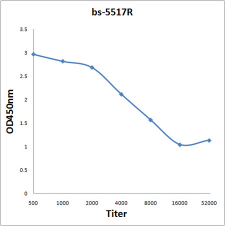 Phospho-IKB epsilon (Ser157) Antibody in ELISA (ELISA)