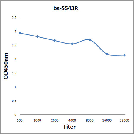 Phospho-PDPK1 (Tyr9) Antibody in ELISA (ELISA)
