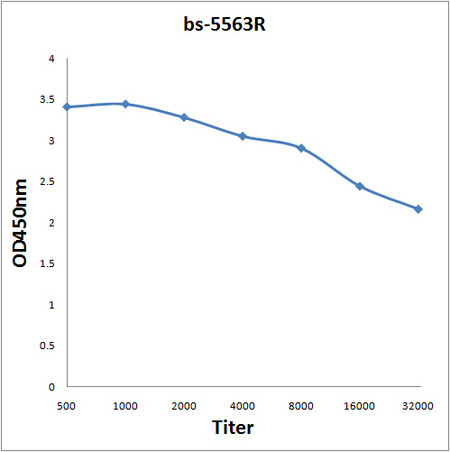 Phospho-PRKD1 (Tyr463) Antibody in ELISA (ELISA)