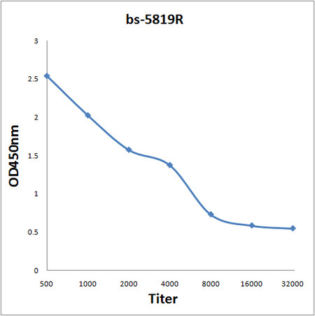 TMEM161A Antibody in ELISA (ELISA)