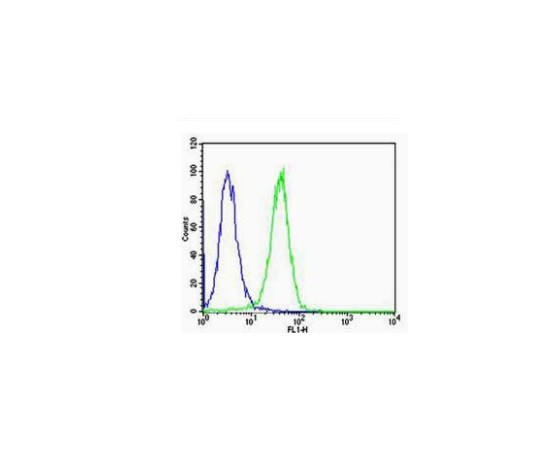 Calreticulin Antibody in Flow Cytometry (Flow)