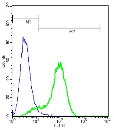 MAS1 Antibody in Flow Cytometry (Flow)