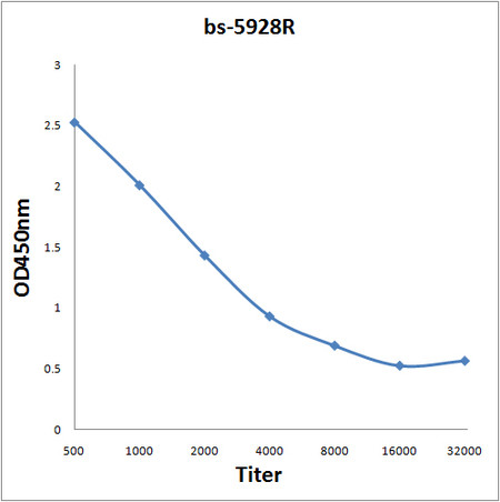 BASC4 Antibody in ELISA (ELISA)