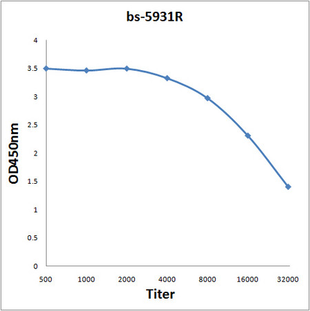 DCUN1D2 Antibody in ELISA (ELISA)