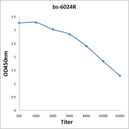 CA10 Antibody in ELISA (ELISA)