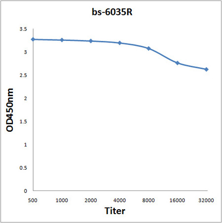 Carboxypeptidase A2 Antibody in ELISA (ELISA)