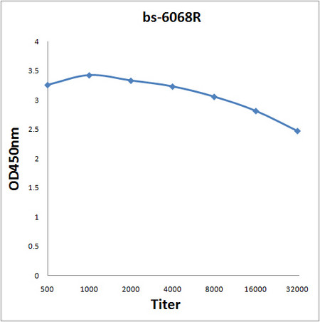 LEPREL2 Antibody in ELISA (ELISA)