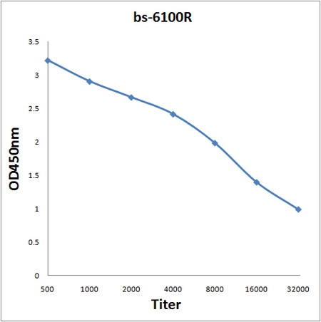 SESN3 Antibody in ELISA (ELISA)