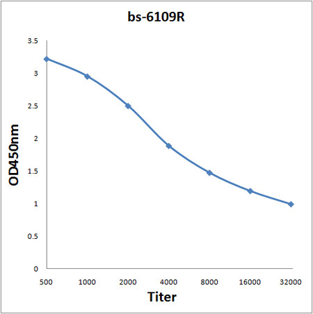 SNF5 Antibody in ELISA (ELISA)