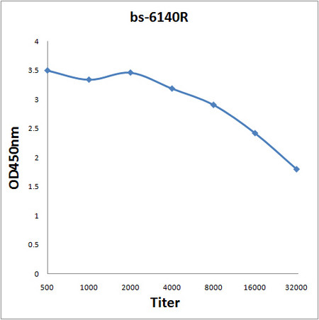 KMT8 Antibody in ELISA (ELISA)