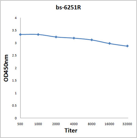 ARK5 Antibody in ELISA (ELISA)