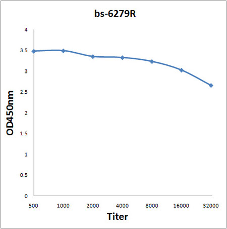 ENPP2 Antibody in ELISA (ELISA)