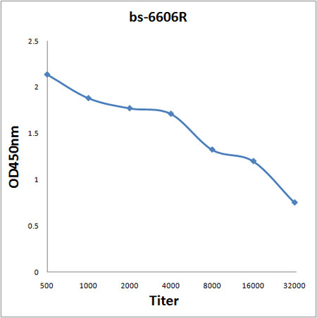 MRGPRX1/3/4 Antibody in ELISA (ELISA)