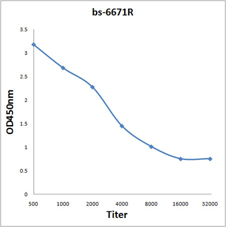 KCND1 Antibody in ELISA (ELISA)