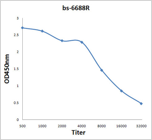 SCN8A Antibody in ELISA (ELISA)