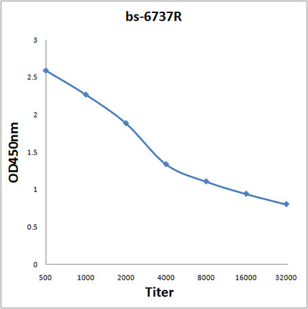 SVH Antibody in ELISA (ELISA)