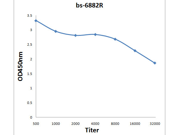BRF2 Antibody in ELISA (ELISA)