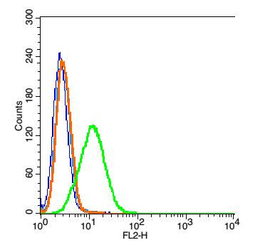 Neutrophil Elastase Antibody in Flow Cytometry (Flow)