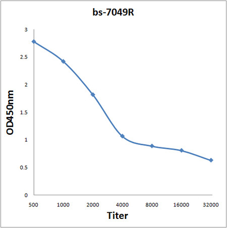 TNFAIP2 Antibody in ELISA (ELISA)