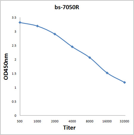CMG1 Antibody in ELISA (ELISA)