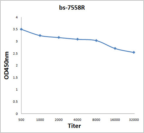 MC3 Receptor Antibody in ELISA (ELISA)