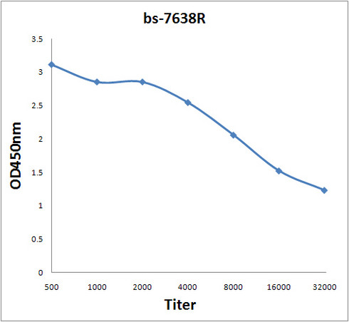 RHCG Antibody in ELISA (ELISA)