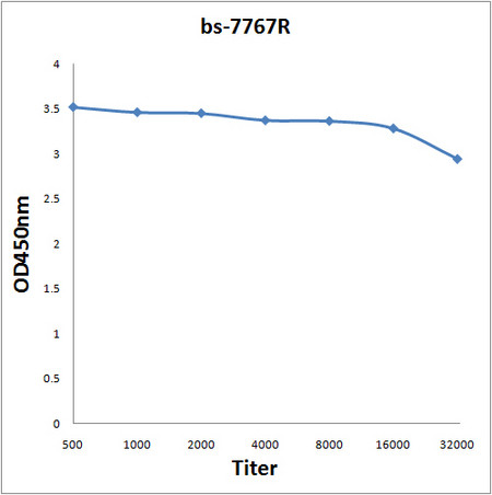 Phospho-RACGAP1 (Ser387) Antibody in ELISA (ELISA)