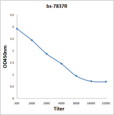EB2 Antibody in ELISA (ELISA)