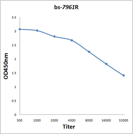 ANKRD11 Antibody in ELISA (ELISA)