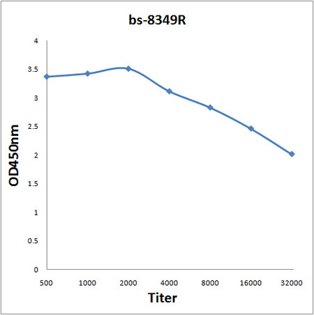 Ube2G2 Antibody in ELISA (ELISA)