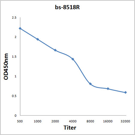 BarX1 Antibody in ELISA (ELISA)