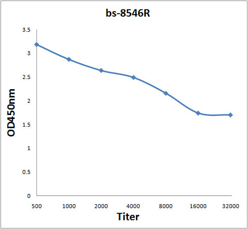 KRIT1 Antibody in ELISA (ELISA)