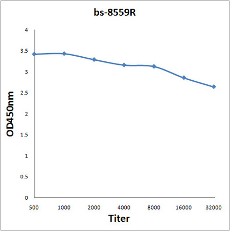 IGF2BP2 Antibody in ELISA (ELISA)