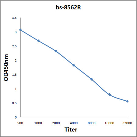 MLLT11 Antibody in ELISA (ELISA)