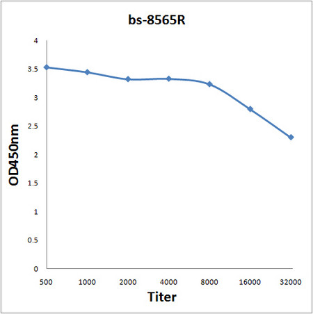 RENT1/hUPF1 Antibody in ELISA (ELISA)