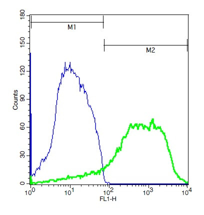 Phospho-IKKi (Ser172) Antibody in Flow Cytometry (Flow)